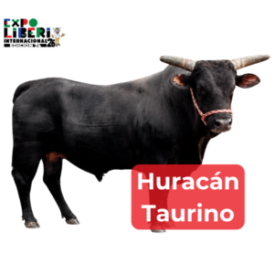 Huracán Taurino